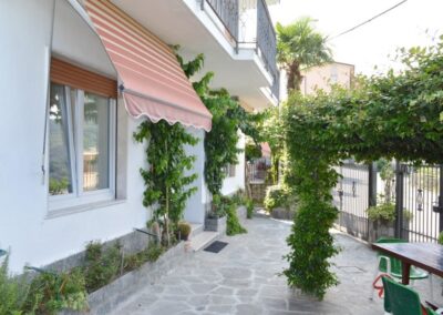 Business – giardino